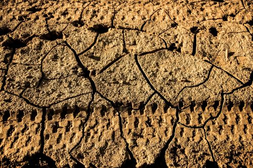 footprints wheel drought
