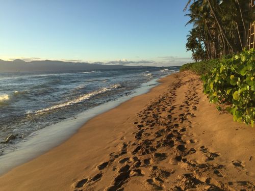 footprints sand beach