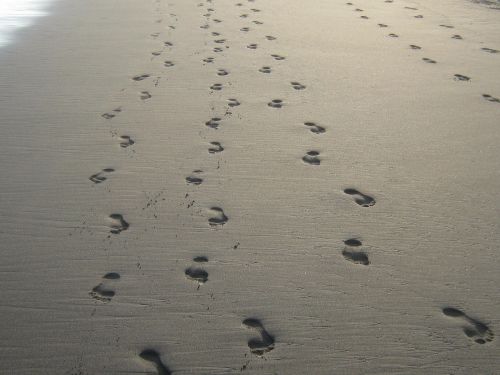 footprints sand beach