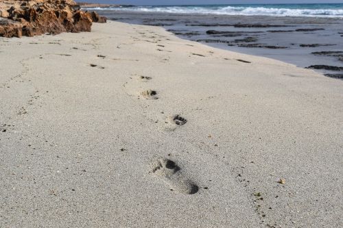 footprints steps sand