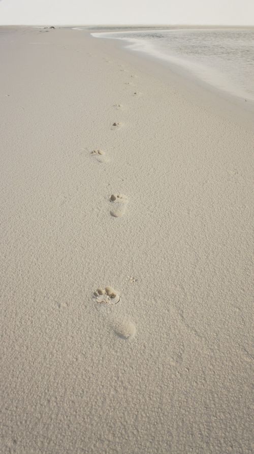 footprints sand foot