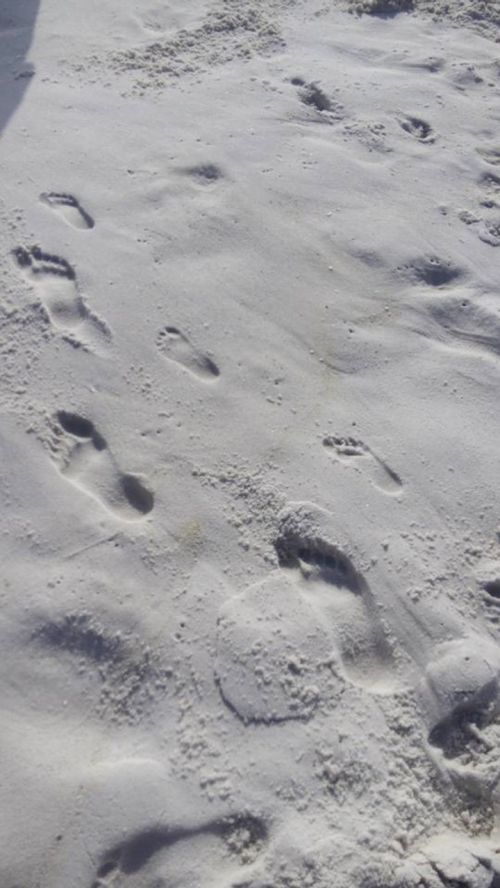 footprints sand beach