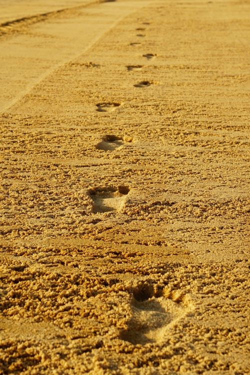 footprints sand barefoot