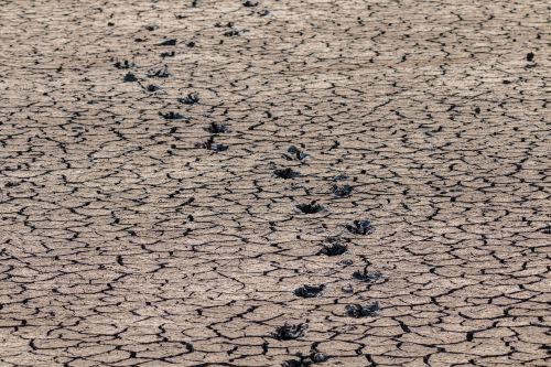 footprints drought away