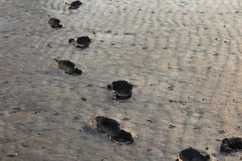 footprints steps bristol