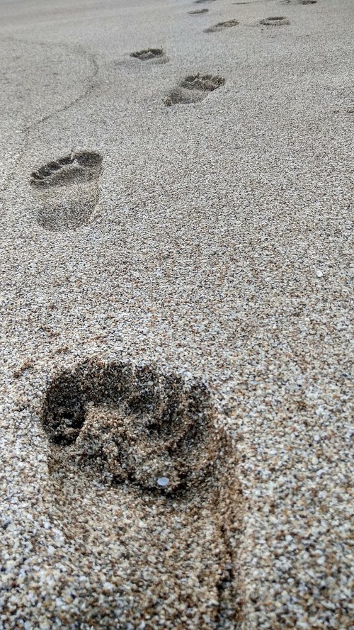 footprints  beach  sand