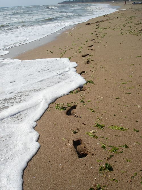 footprints beach sand