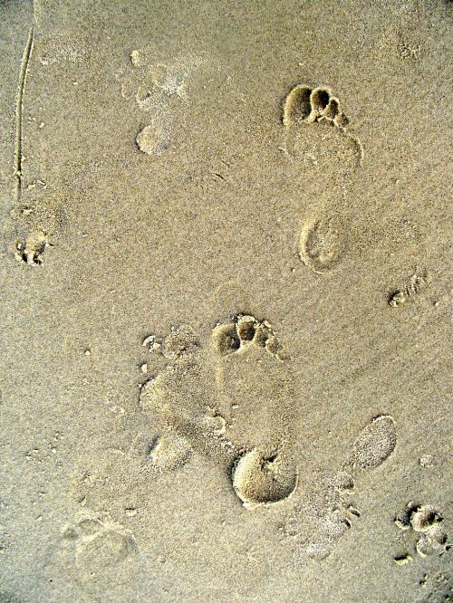 footprints footprint beach