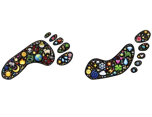 footprints human nature