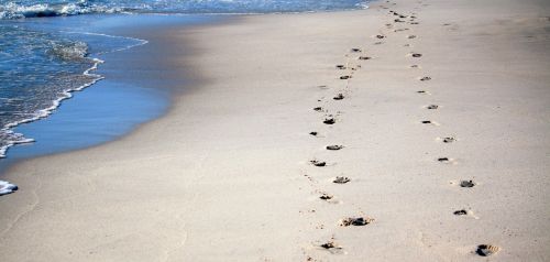 footprints sand sea