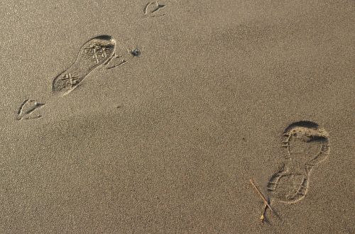 footsteps footprint step