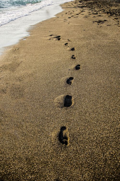 footsteps sea beach