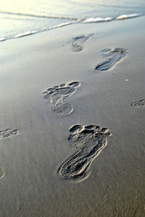 footsteps sand traces