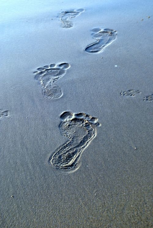 footsteps sand traces