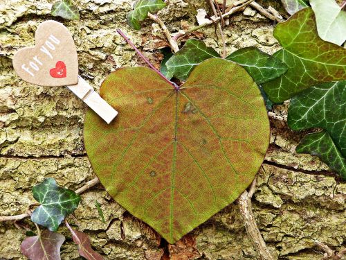 for you heart leaf