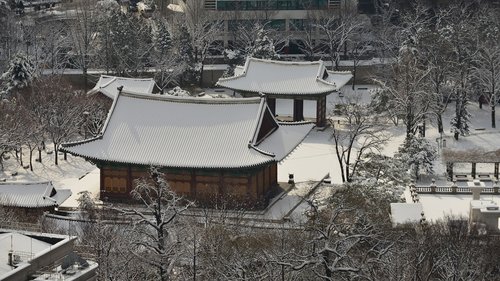 forbidden city  snow  traditional