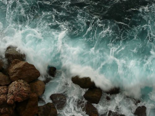 force of nature sea monaco