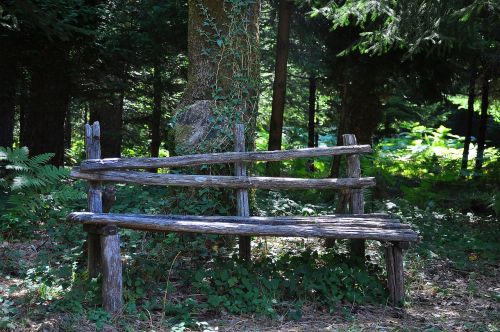 forest bench park