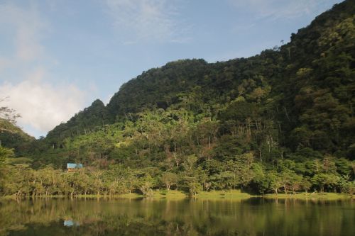 forest landscape forest landscape