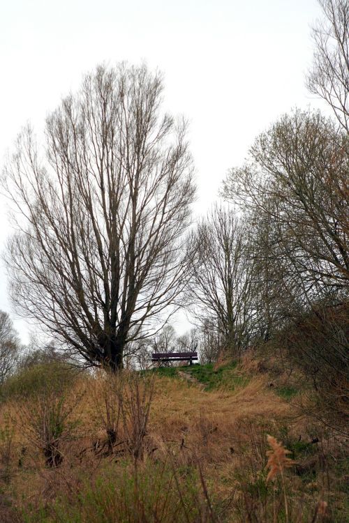 forest bank walk