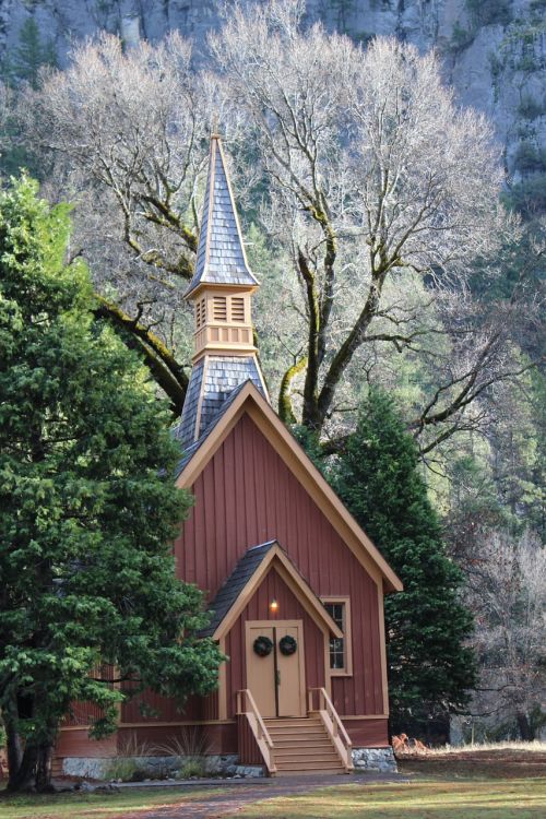 forest church autumn