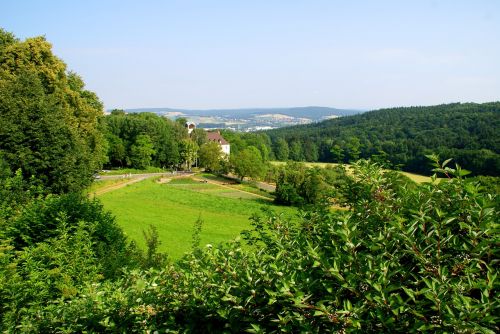 forest meadow glade