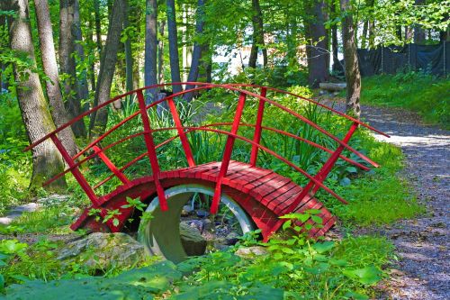 forest web bridge