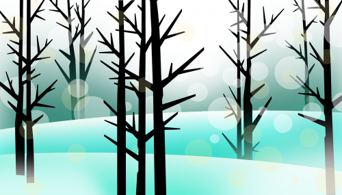 forest trees landscape
