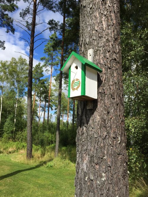 forest tree birdhouse