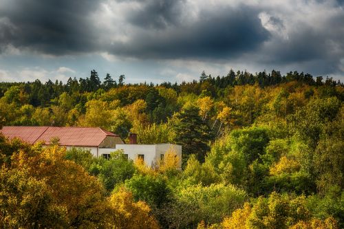 forest building heaven