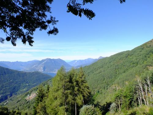 forest mountains lakes