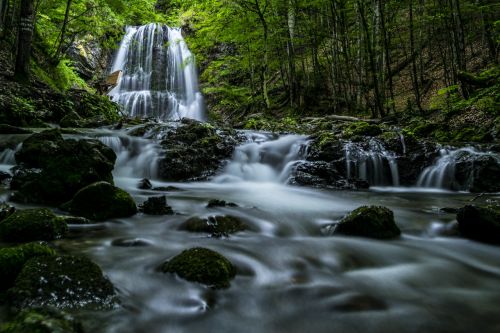 forest waterfall schliersee
