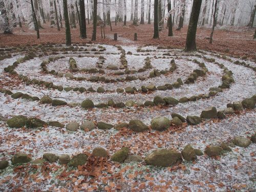 forest winter time labyrinth