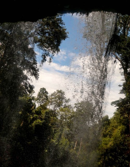 forest nature waterfall