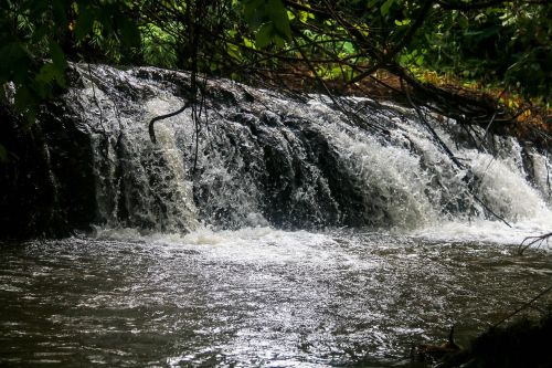 forest nature waterfall