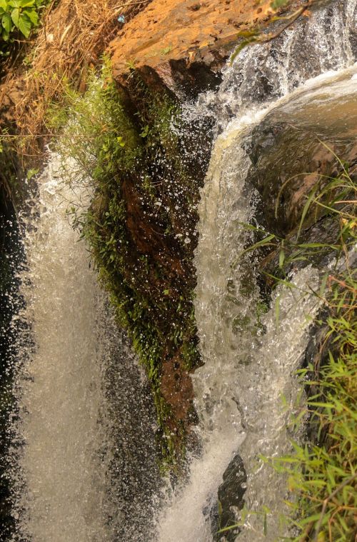 forest nature waterfall