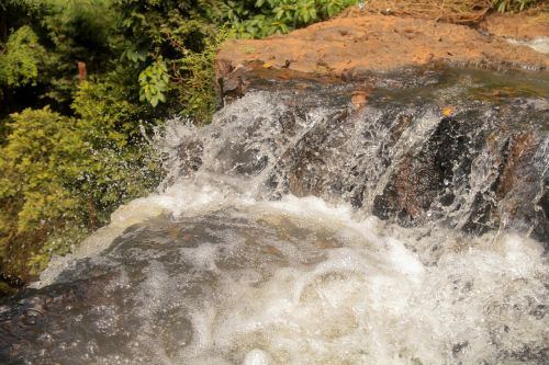 forest nature waterfall