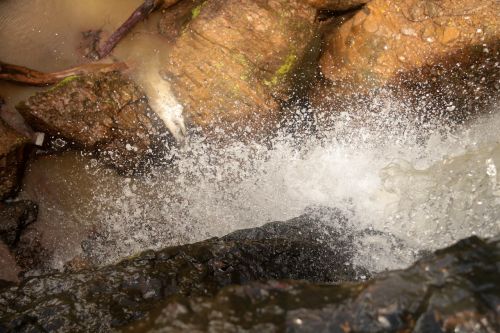 forest nature waterfall