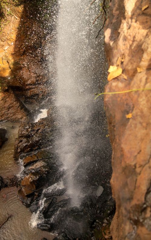 forest nature waterfall