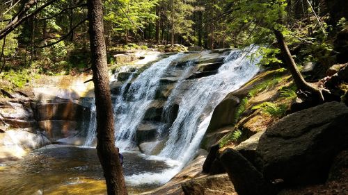 forest waterfall the giant mountains