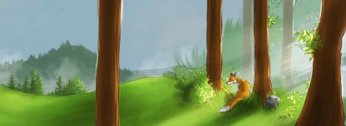 forest fox patience