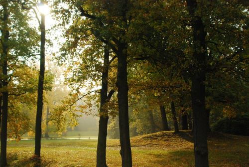 forest park autumn