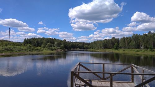 forest lake nature