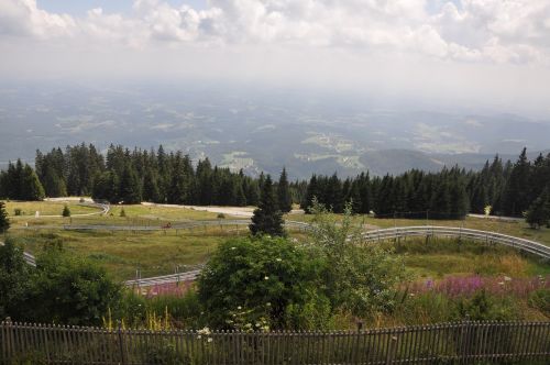 forest landscape austria