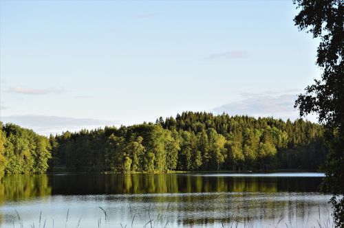 forest water lake