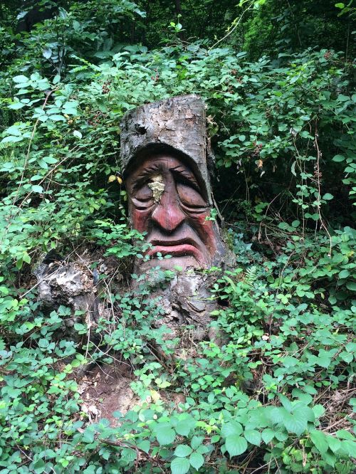 forest dwarfs palatinate