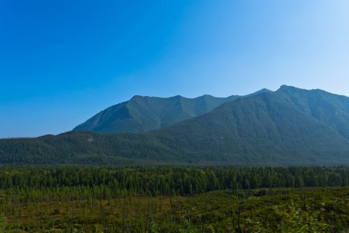 forest top mountain