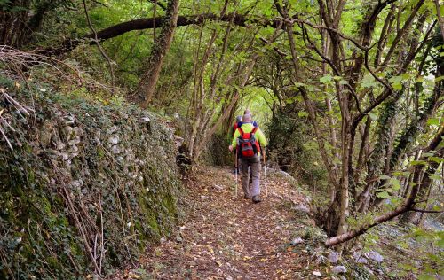 forest walk the european path