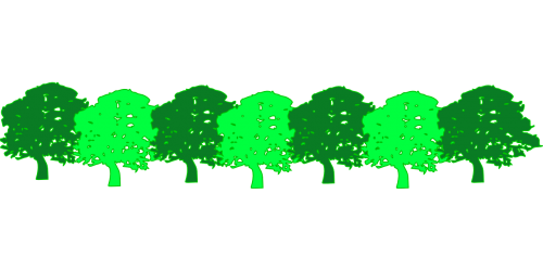 forest green trees