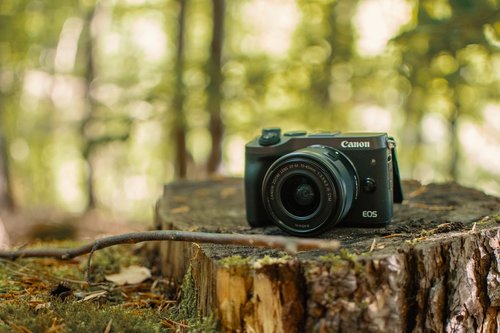 forest  camera  canon